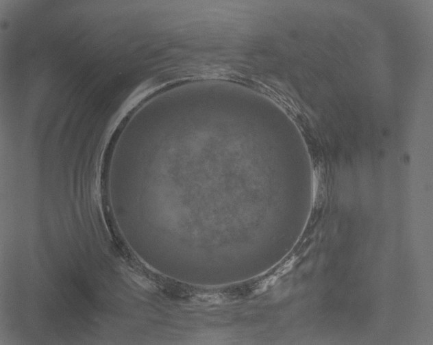 X0000051240195200506241530