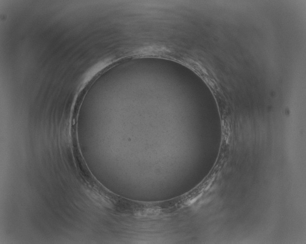 X0000051240196200506241530