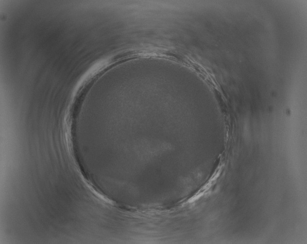 X0000051240197200506241530