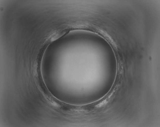 X0000051240201200506241530