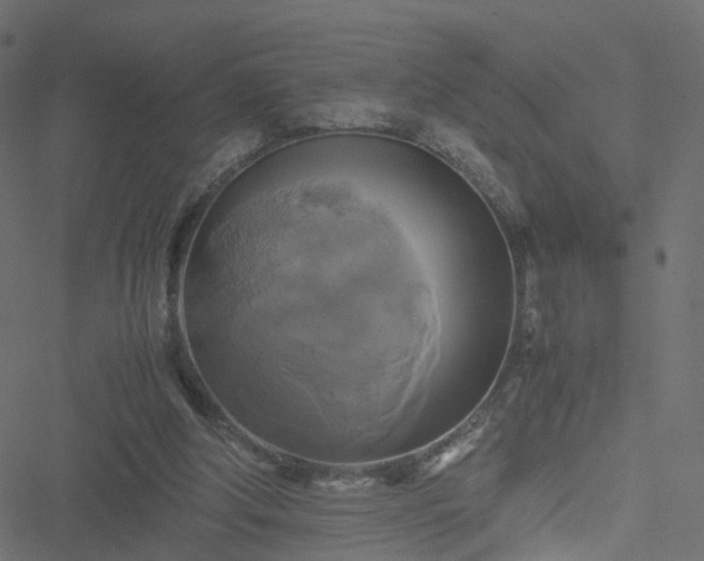 X0000051240202200506241530