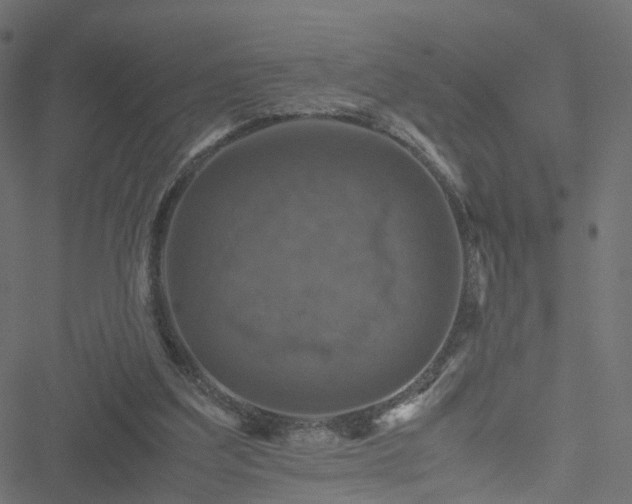 X0000051240203200506241530