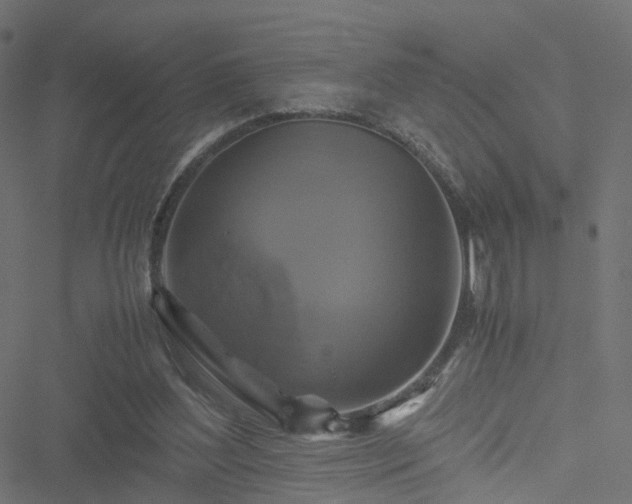 X0000051240204200506241530