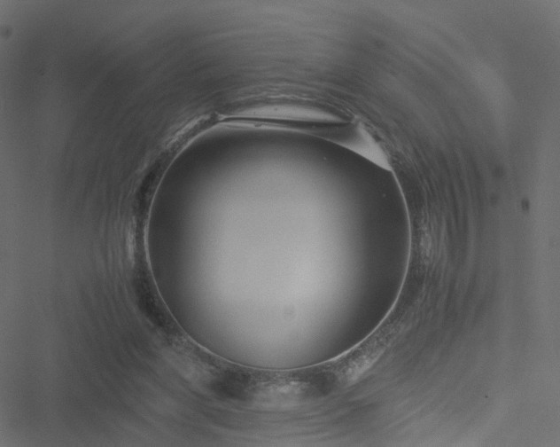 X0000051240206200506241530