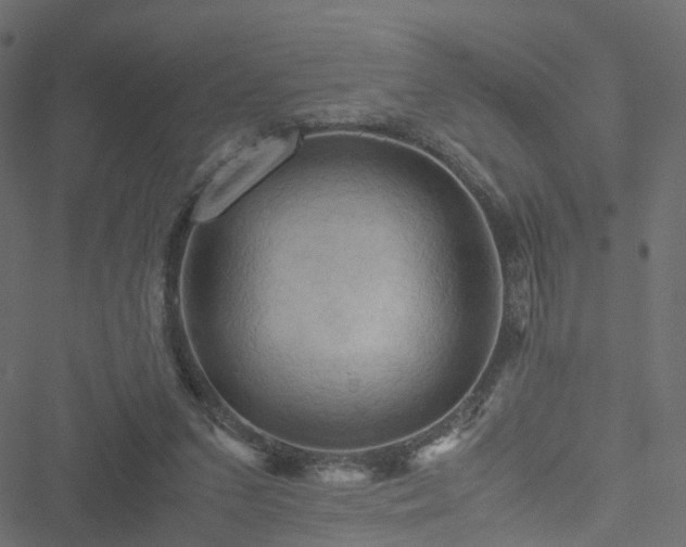 X0000051240207200506241530