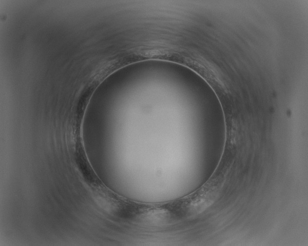 X0000051240210200506241530