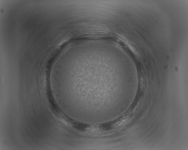 X0000051240211200506241530