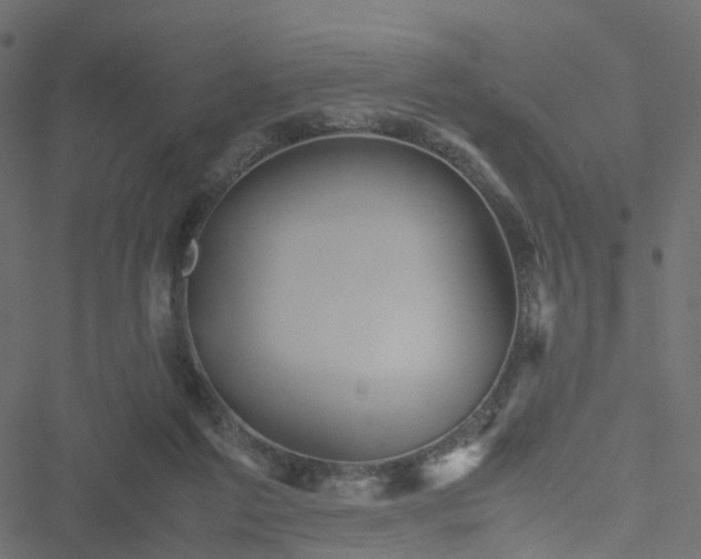 X0000051240213200506241529