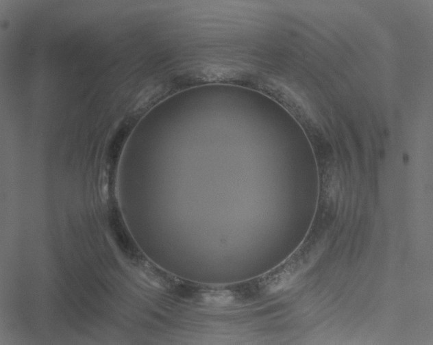 X0000051240214200506241529