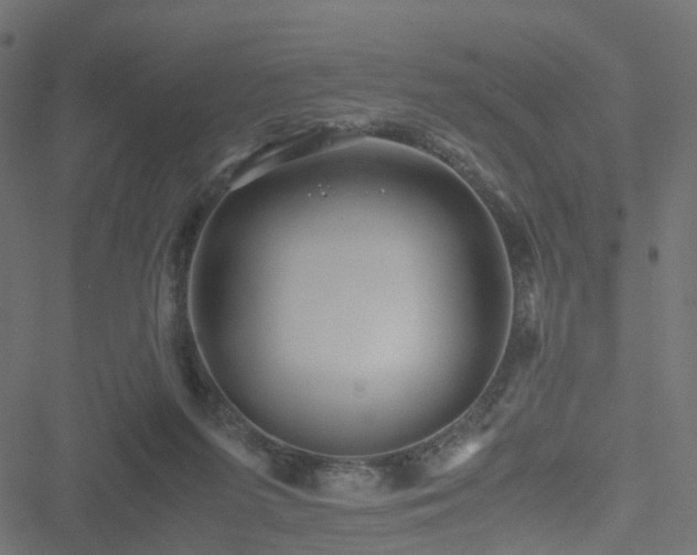 X0000051240215200506241529