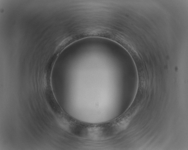 X0000051240216200506241529