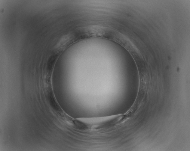 X0000051240218200506241529