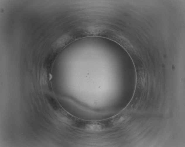 X0000051240220200506241529