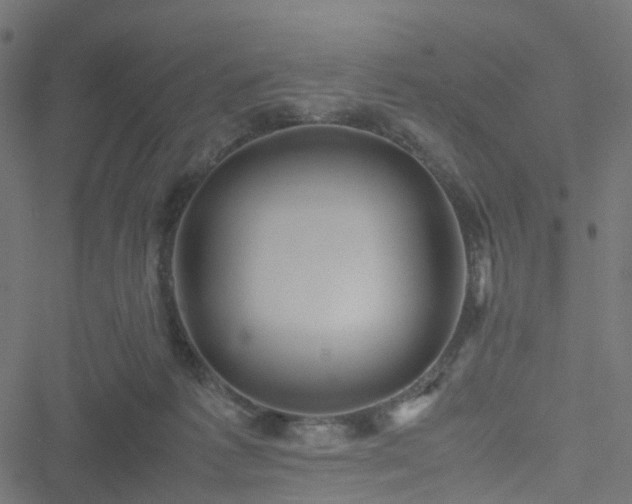 X0000051240221200506241529