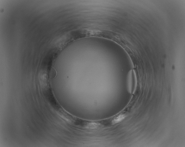 X0000051240222200506241529