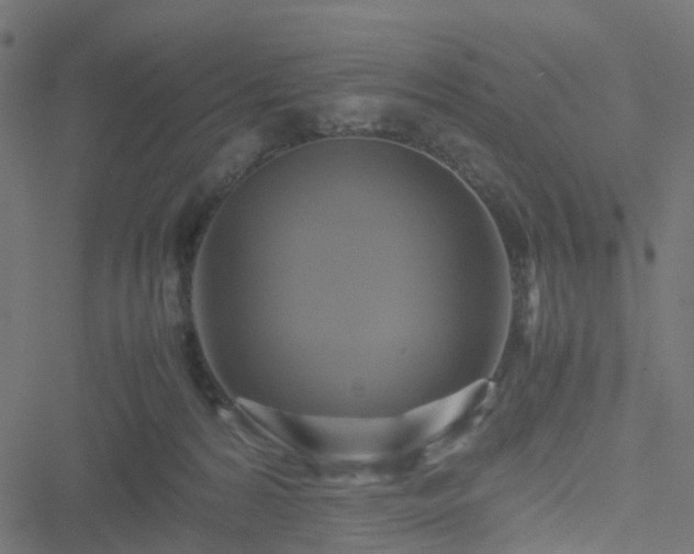 X0000051240224200506241529