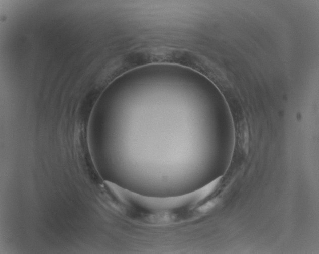 X0000051240225200506241529