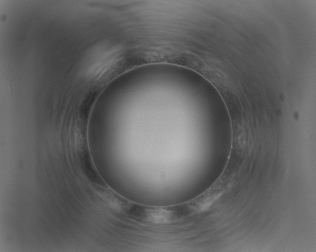 X0000051240226200506241529