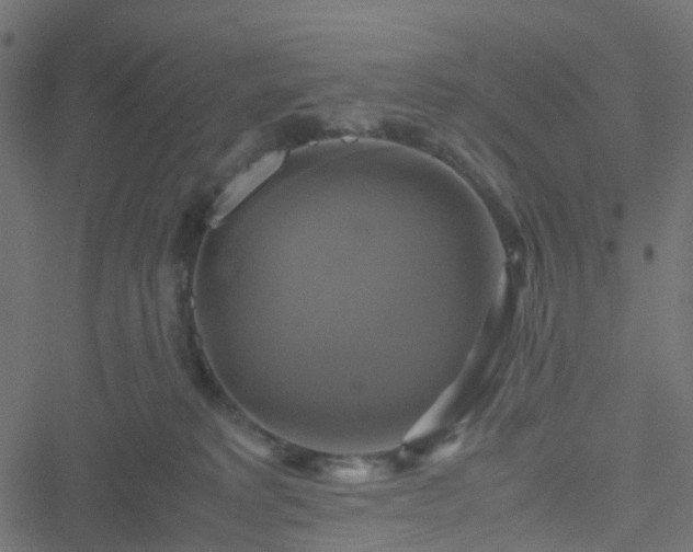 X0000051240229200506241529