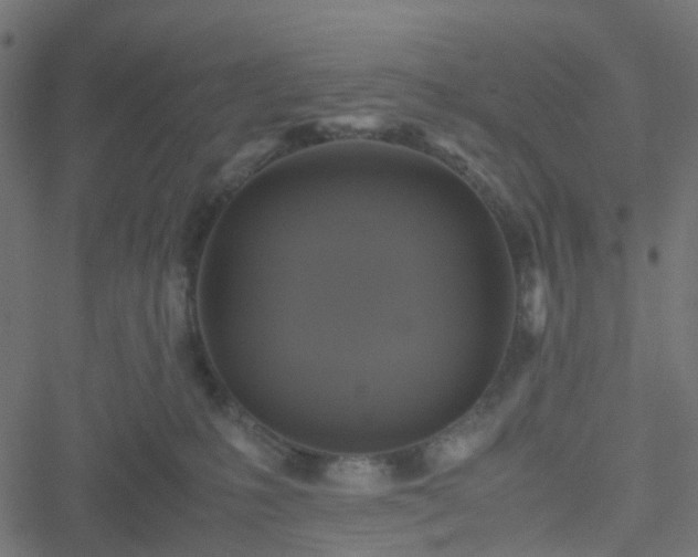 X0000051240231200506241529