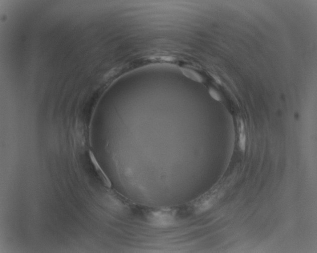 X0000051240232200506241529