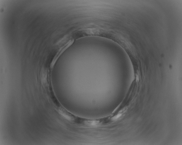 X0000051240233200506241529