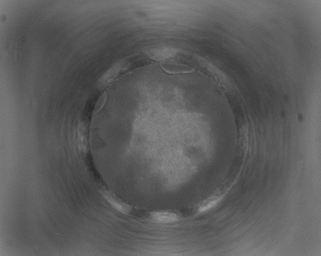 X0000051240234200506241529