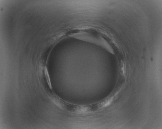 X0000051240235200506241529