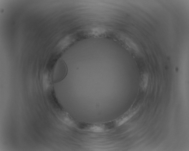 X0000051240236200506241529