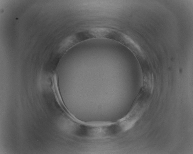 X0000051240237200506241529