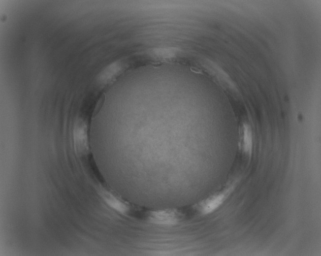 X0000051240238200506241529