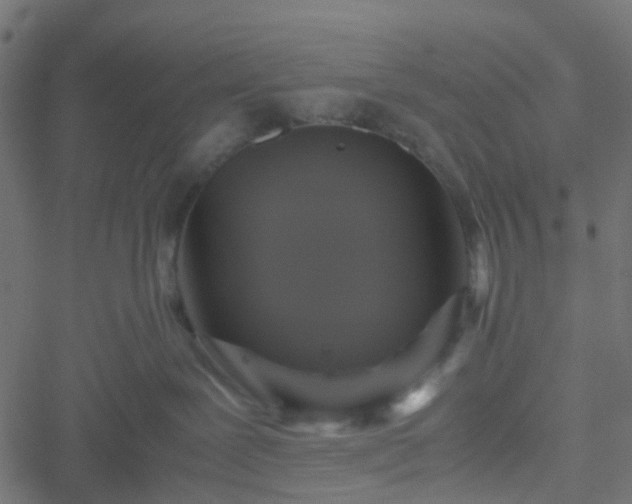 X0000051240239200506241529