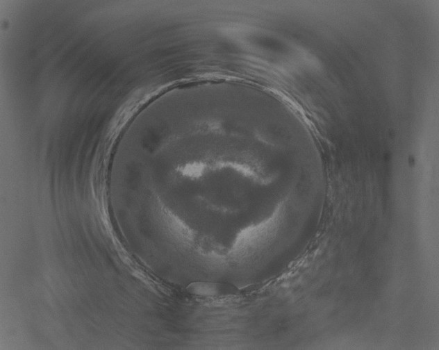 X0000051240241200506241528