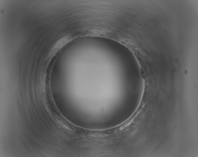 X0000051240242200506241528