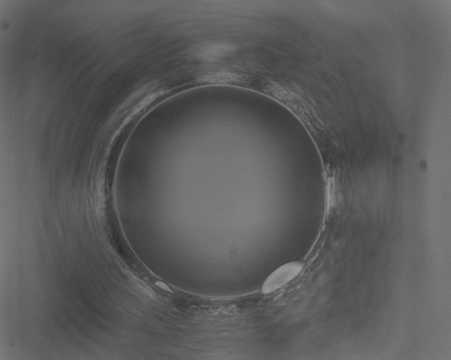 X0000051240243200506241528