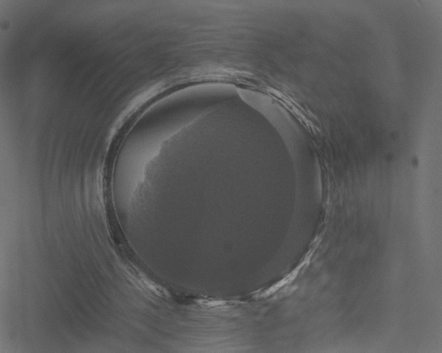 X0000051240244200506241528