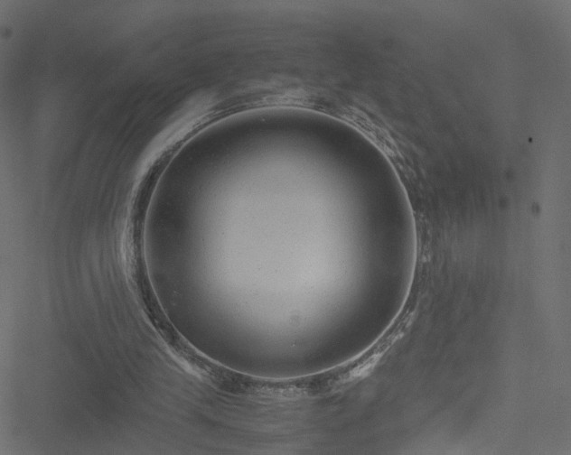 X0000051240245200506241528