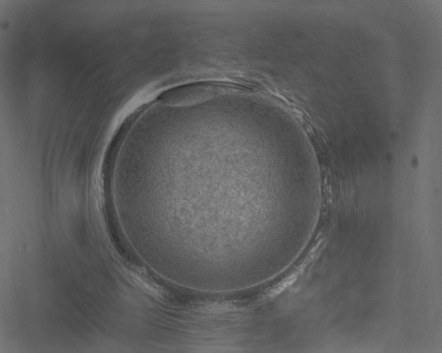 X0000051240246200506241528