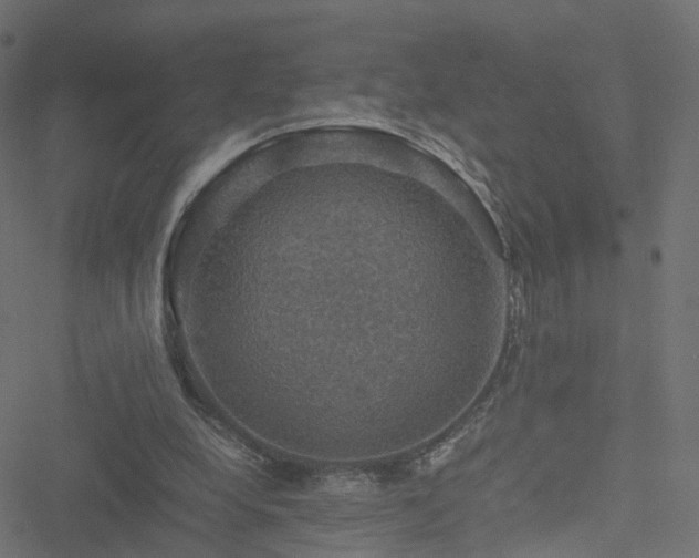 X0000051240248200506241528