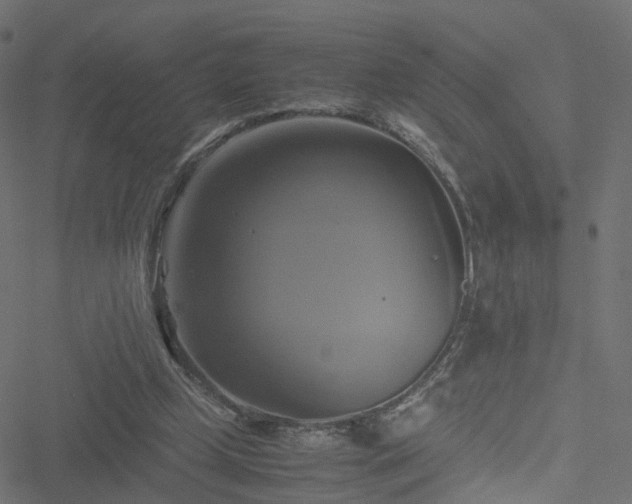 X0000051240249200506241528