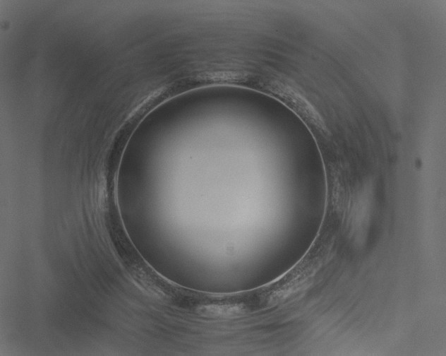 X0000051240251200506241528