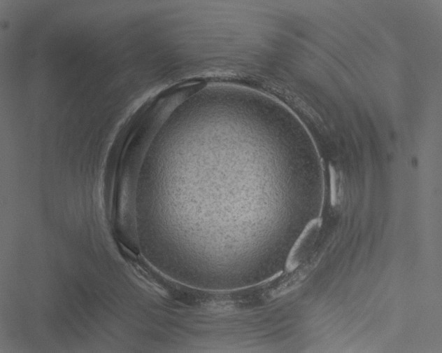 X0000051240252200506241528