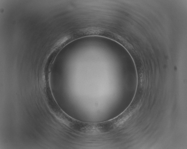 X0000051240254200506241528