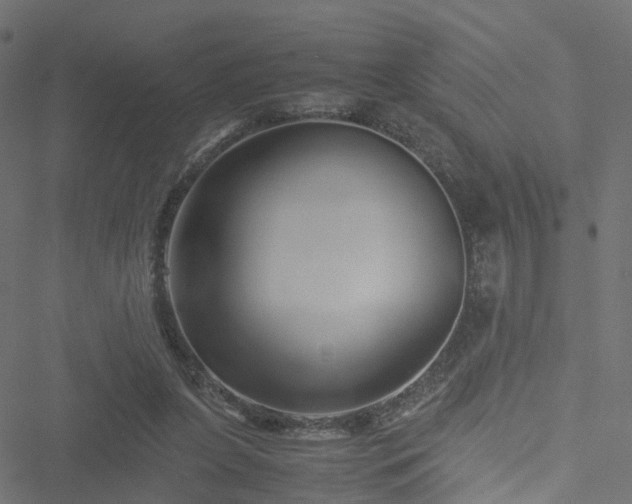 X0000051240255200506241528