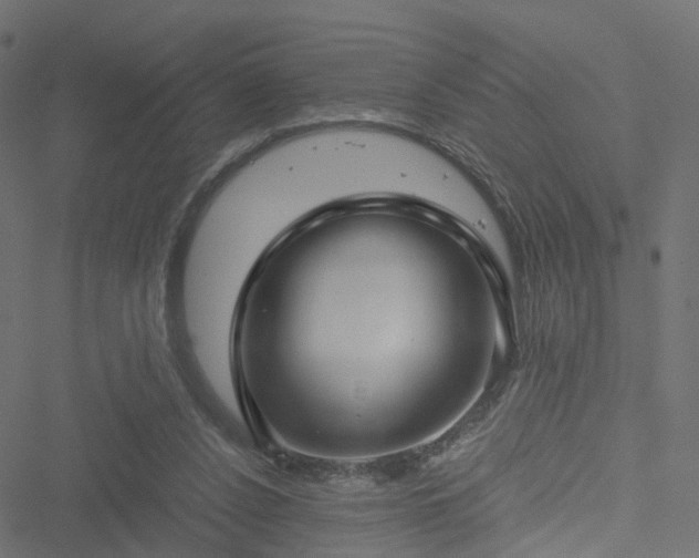 X0000051240256200506241528