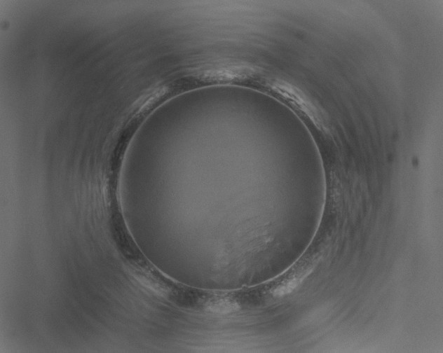 X0000051240258200506241529