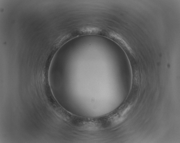 X0000051240259200506241529