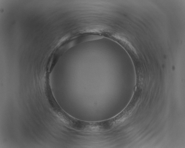 X0000051240260200506241529