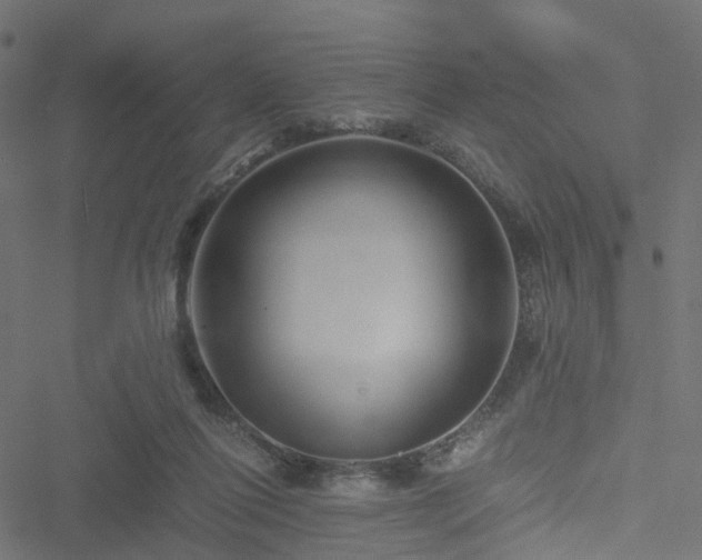 X0000051240262200506241529