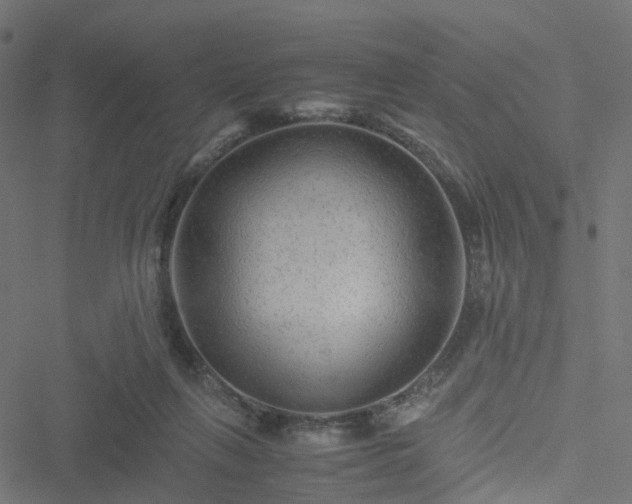 X0000051240263200506241529